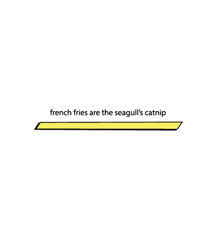Seagull Catnip