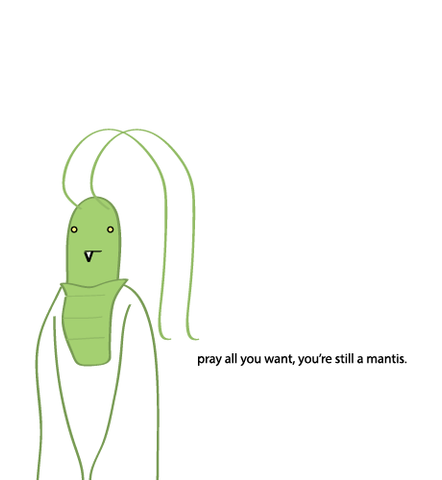 Mantis