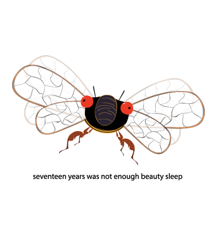 Seventeen Years