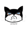 Grumpy Bat