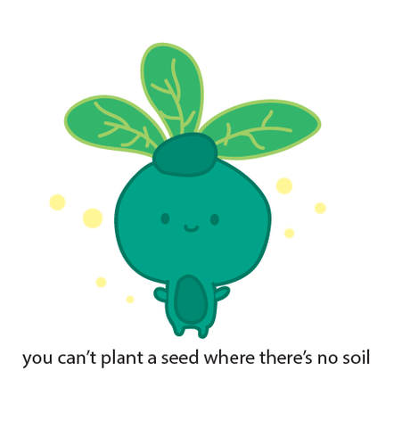 No Soil